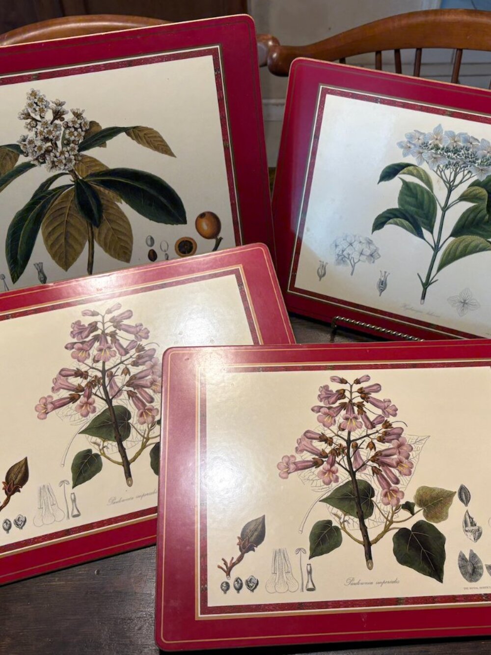 Vintage Pimpernel Placemats - Royal Horticultural Society Collection (Set of 4)